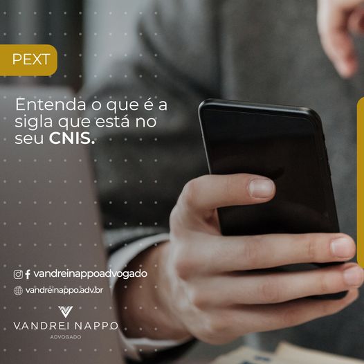 PEXT: Entendo o que é a sigla que está no seu INSS.